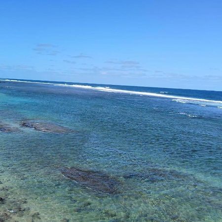 Studio "Requin" - Plage De Saint-Pierre 外观 照片